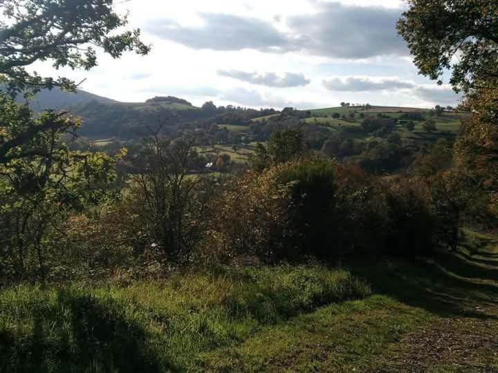 La Baronnerie Villa Saint-Marc-d'Ouilly Buitenkant foto